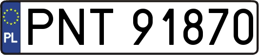 PNT91870