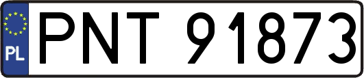 PNT91873