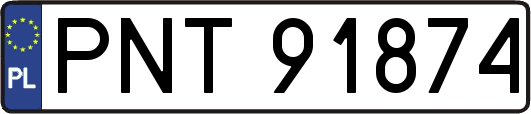 PNT91874