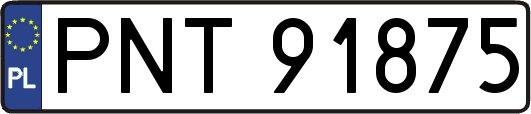 PNT91875
