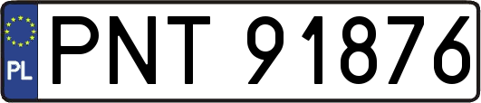 PNT91876