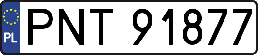 PNT91877