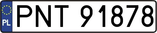 PNT91878