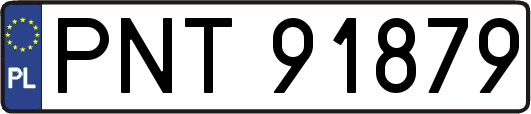 PNT91879