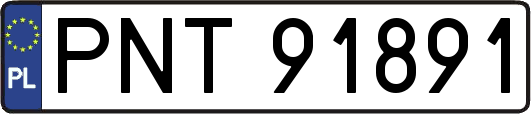 PNT91891