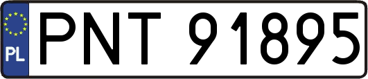 PNT91895