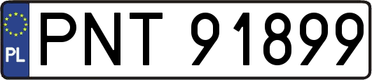PNT91899