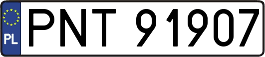 PNT91907