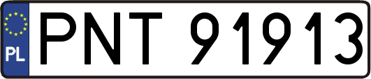 PNT91913