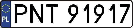 PNT91917