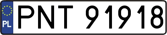 PNT91918