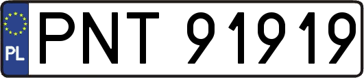 PNT91919