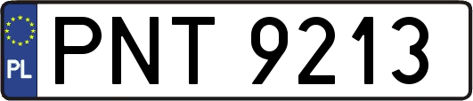 PNT9213