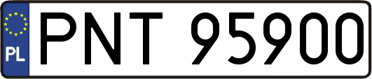 PNT95900