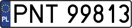 PNT99813