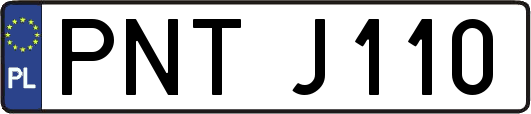 PNTJ110