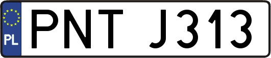 PNTJ313