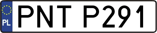 PNTP291