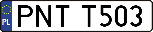 PNTT503