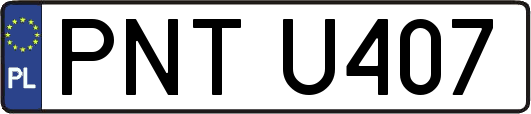 PNTU407