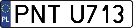 PNTU713