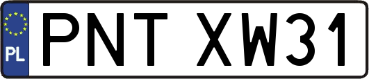 PNTXW31