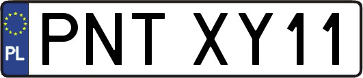 PNTXY11