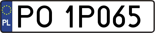 PO1P065