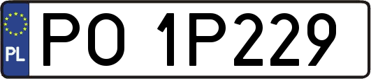 PO1P229