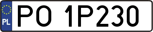 PO1P230
