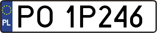 PO1P246