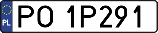 PO1P291