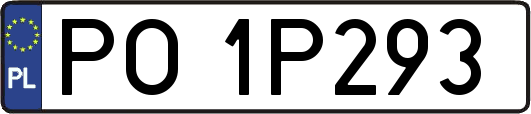 PO1P293