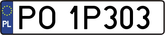 PO1P303