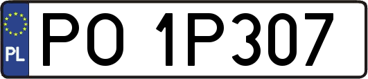 PO1P307