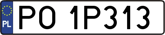 PO1P313