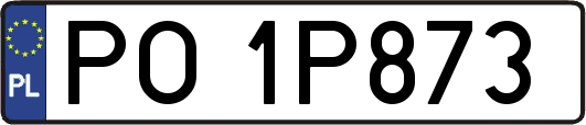 PO1P873