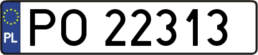 PO22313