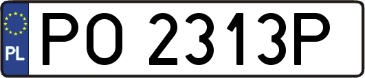 PO2313P