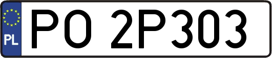 PO2P303