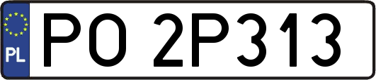 PO2P313