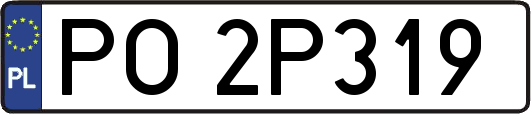 PO2P319