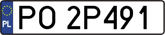 PO2P491
