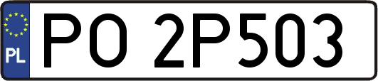 PO2P503