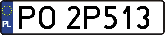 PO2P513