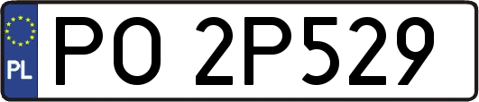 PO2P529