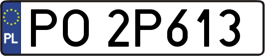 PO2P613