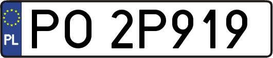PO2P919