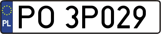 PO3P029