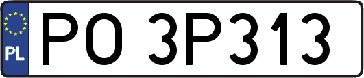 PO3P313